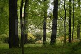 tannenfeld-sommer 2012-100